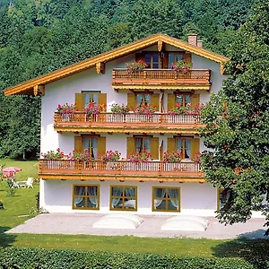 Pfatischer Rotta